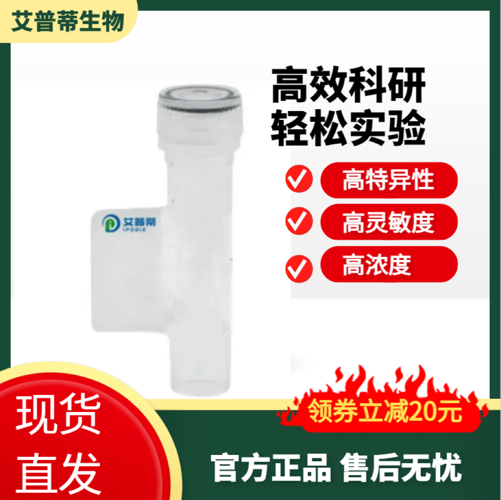 RND3抗体；RND3 antibody 艾普蒂生物        