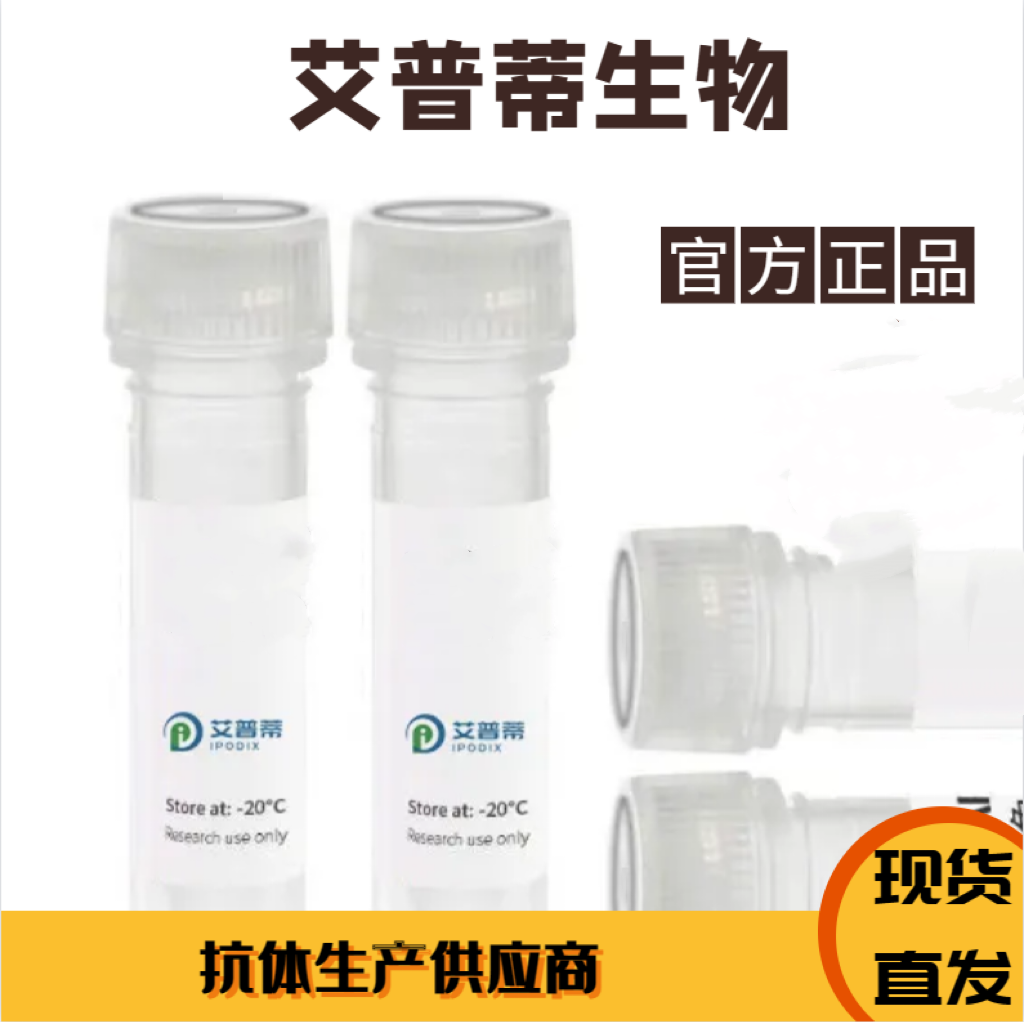 TUBB抗体；TUBB antibody 艾普蒂生物        