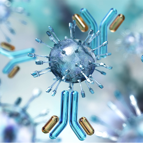 单克隆Anti 4-1BB抗体-ACROBiosystems百普赛斯