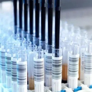 SIGLEC12抗体；SIGLEC12 antibody 艾普蒂生物        