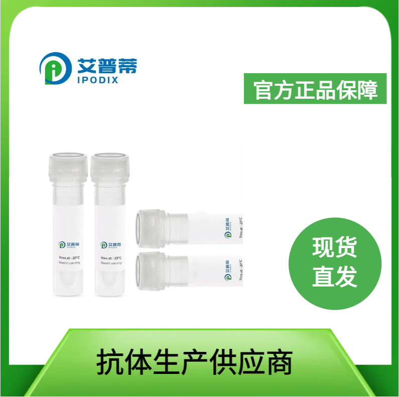 TMED4抗体；TMED4 antibody 艾普蒂生物        