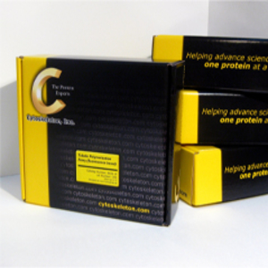 Cytoskeleton筛选试剂