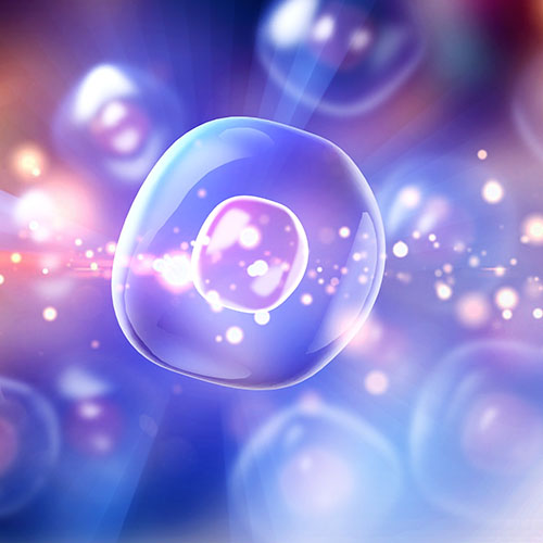 EpCAM稳定细胞系/细胞株-ACROBiosystems百普赛斯