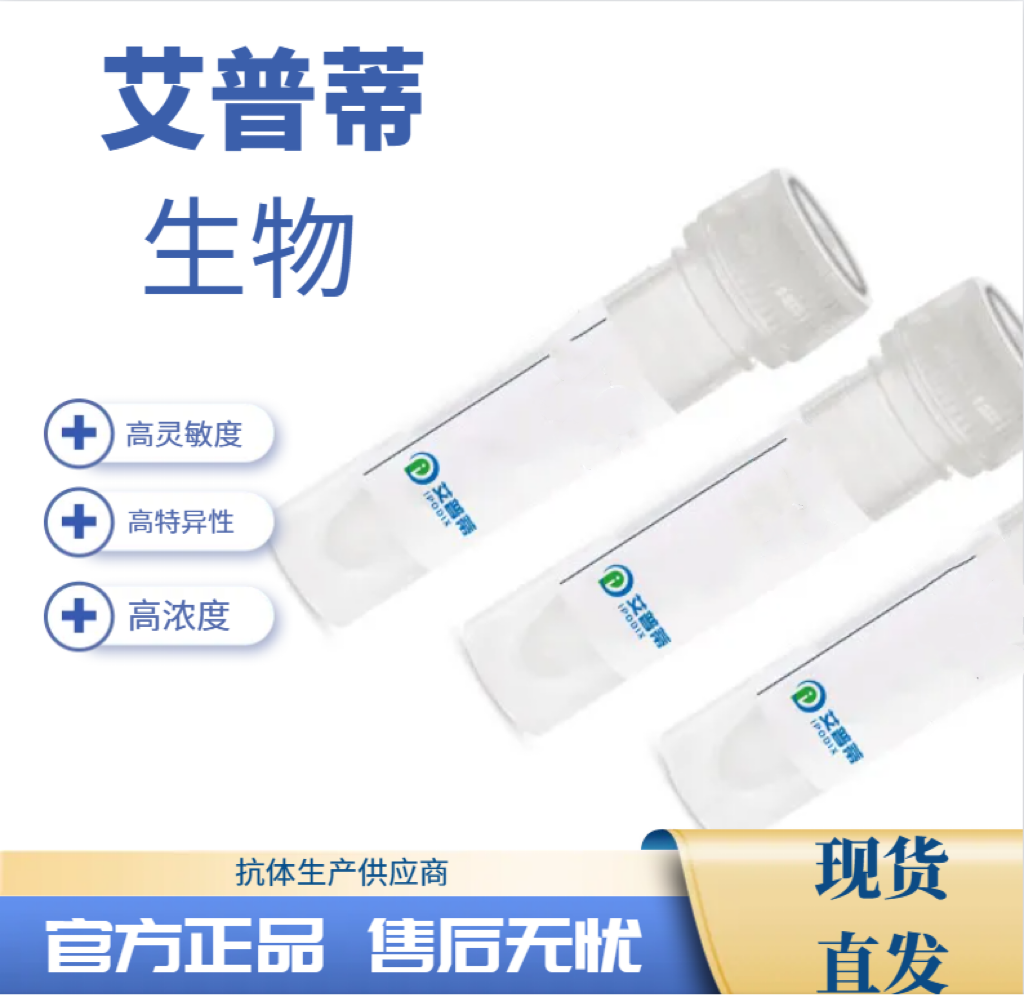 ZFYVE1抗体；ZFYVE1 antibody 艾普蒂生物        