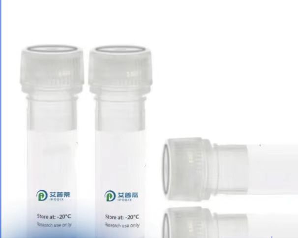 HLA-DRB5抗体；HLA-DRB5 antibody 艾普蒂生物         