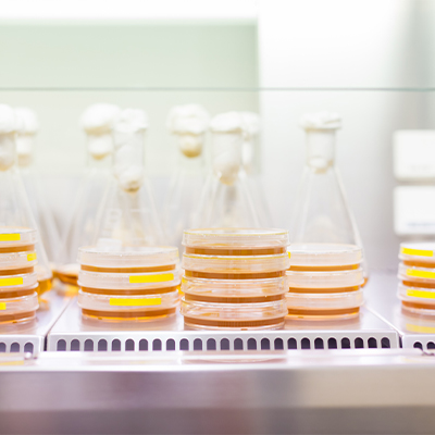 Nectin-4磁珠-ACROBiosystems百普赛斯