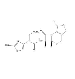 头孢噻肟内酯