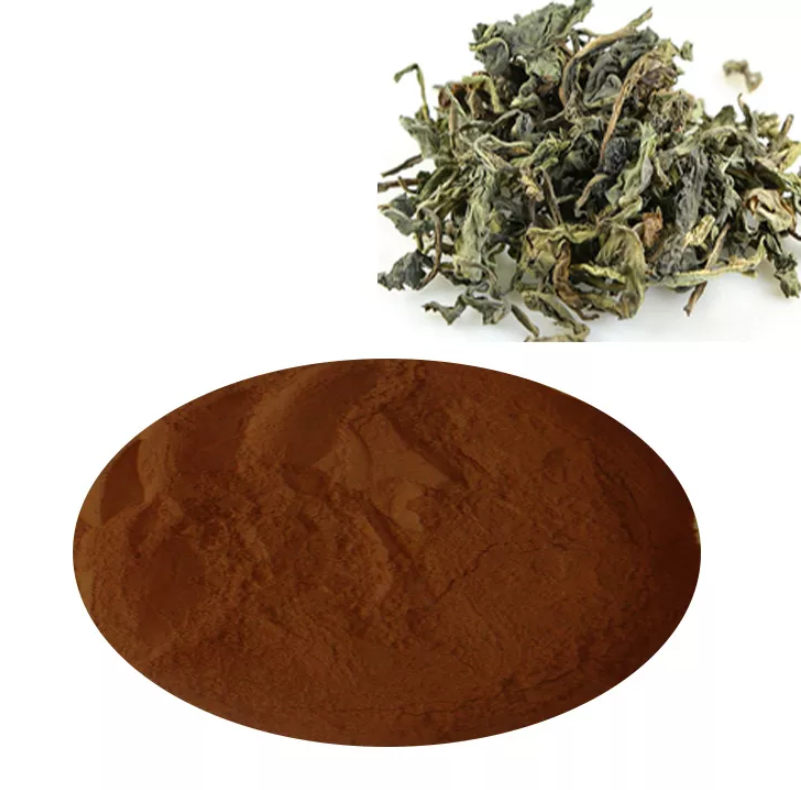 大青叶提取物，菘蓝提取物，菘蓝叶，蓝靛叶