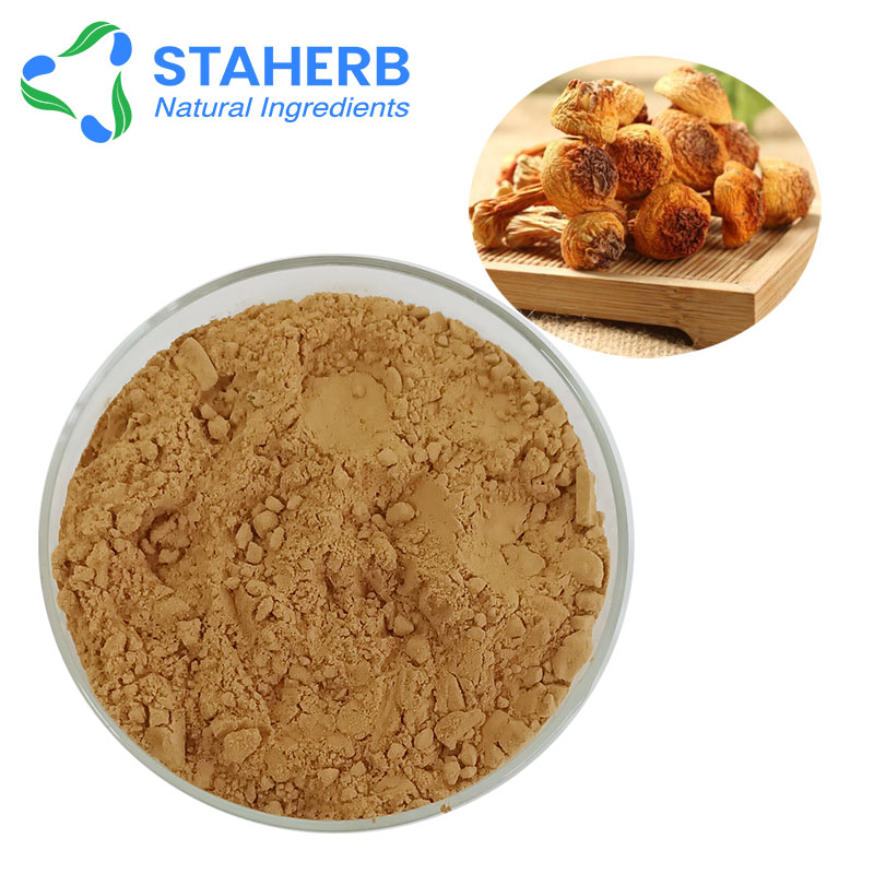 姬松茸提取物，巴西蘑菇，巴氏蘑菇，小松菇，姬松茸多糖 