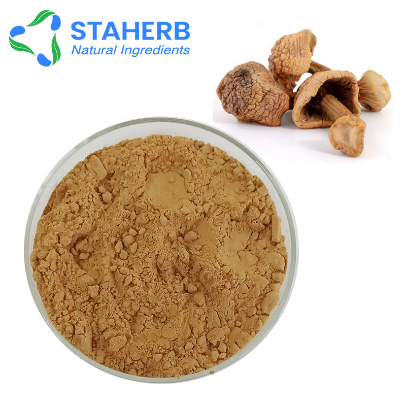 姬松茸提取物，巴西蘑菇，巴氏蘑菇，小松菇，姬松茸多糖 