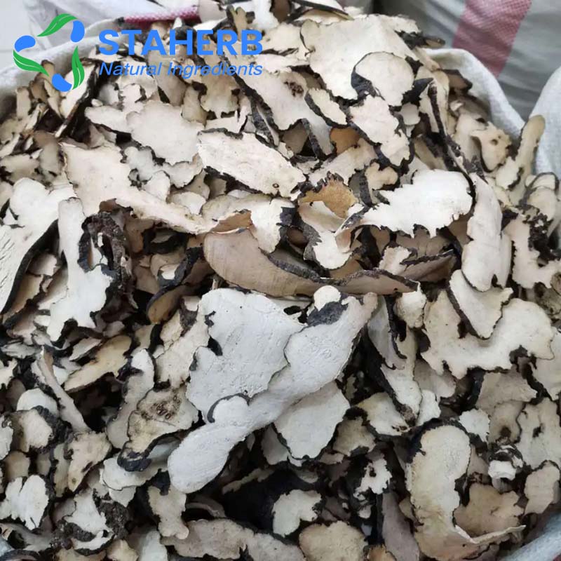猪苓提取物、豕苓、粉猪苓、野猪粪、地乌桃、猪茯苓、猪灵芝