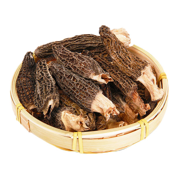 羊肚菌提取物，羊肚菜，羊蘑