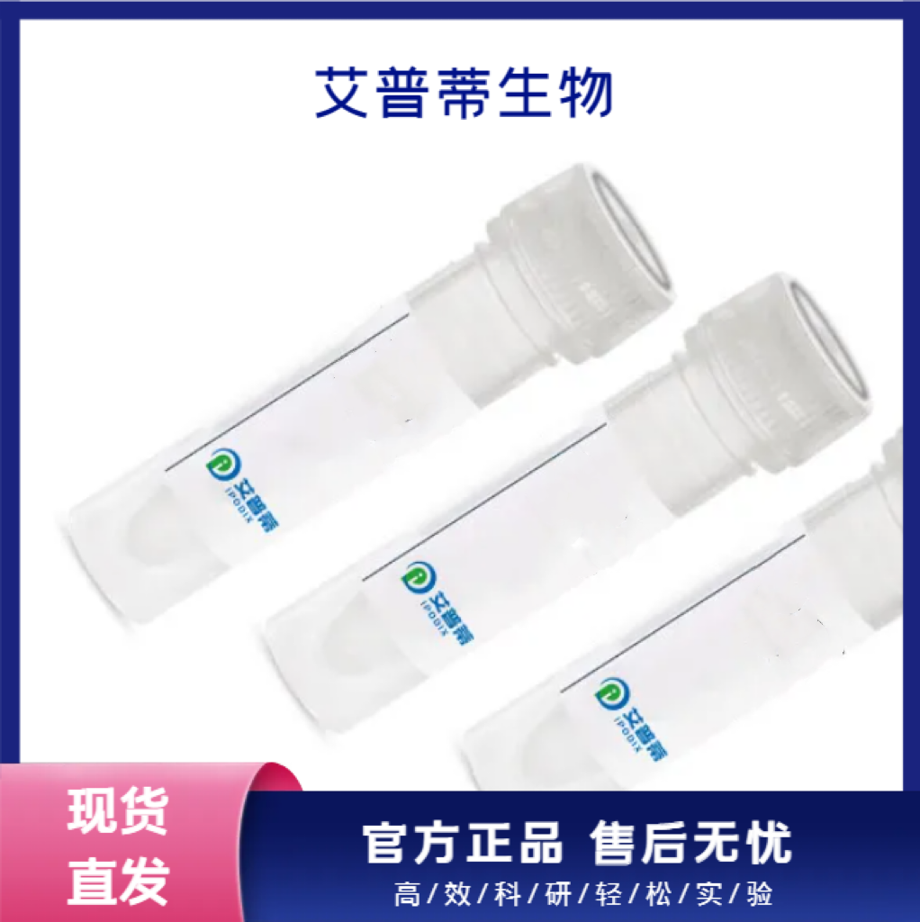 PRKAG1抗体；PRKAG1 antibody 艾普蒂生物         
