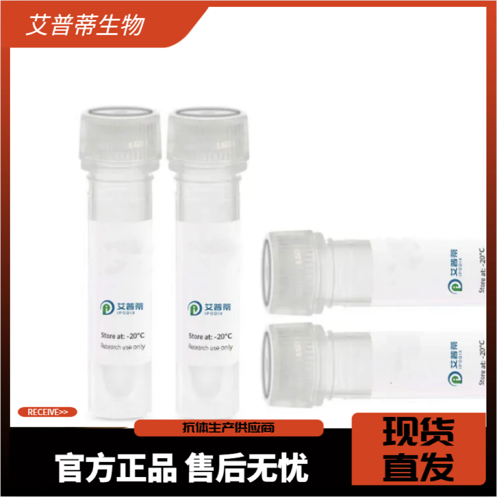 CBX1抗体；CBX1 antibody 艾普蒂生物         