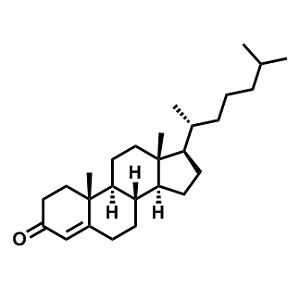 4-胆甾烯-3-酮