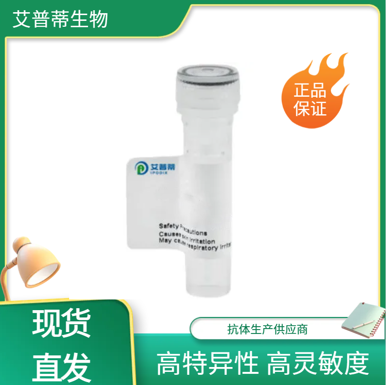 SREBF2抗体；SREBF2 antibody 艾普蒂生物