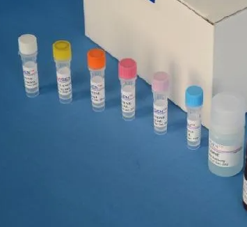 斑马鱼甲状腺过氧化物酶(TPO)ELISA试剂盒