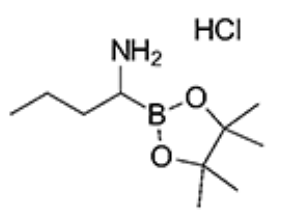 3020710-47-5；1-(4,4,5,5-Tetramethyl-1,3,2-dioxaborolan-2-yl)butylamine hydrochloride