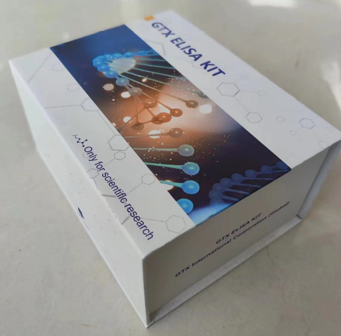 小鼠弹性蛋白酶(Elastase)ELISA试剂盒