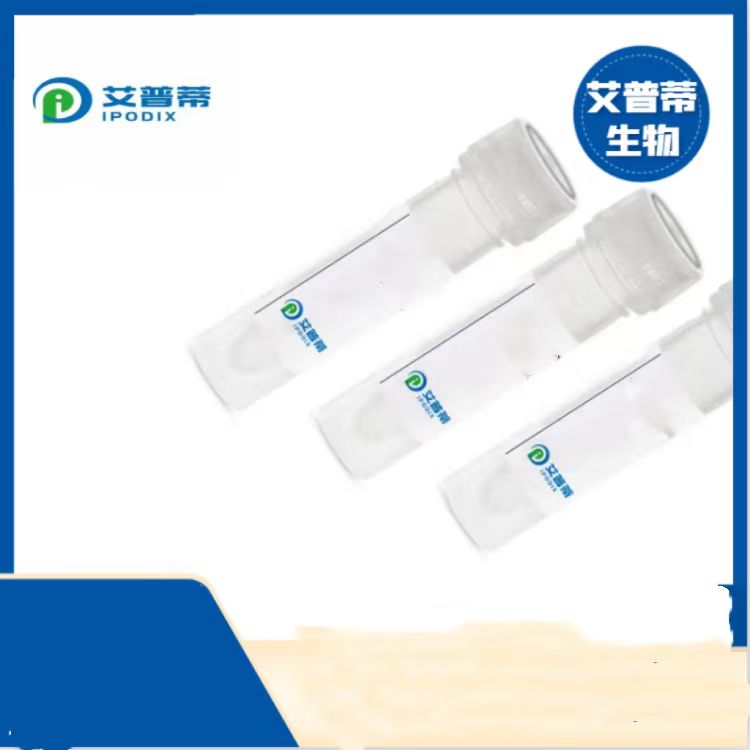 ASCC2抗体；ASCC2 antibody  艾普蒂生物