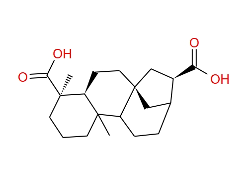 ENT-贝壳烯烷-17,19-二酸 60761-79-7