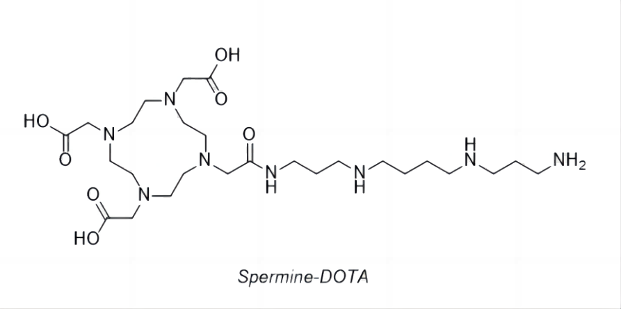 Spermine-DOTA