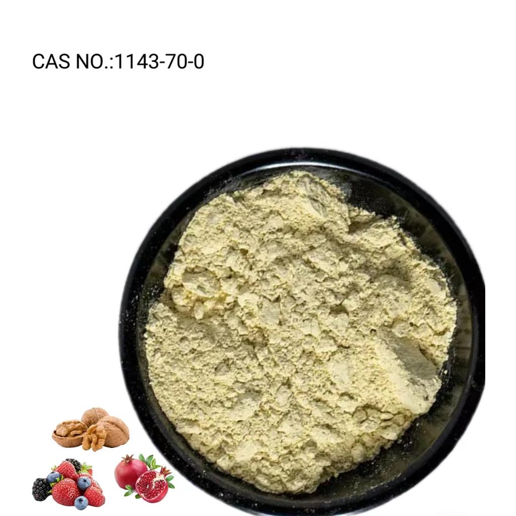 尿石素A 1143-70-0