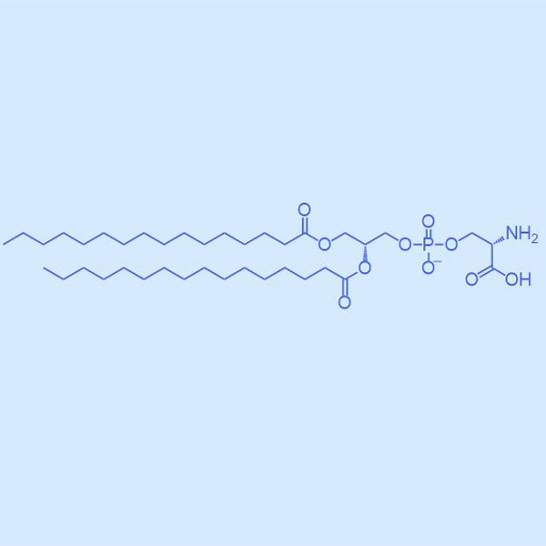DPPS,二棕榈酰磷脂酰丝氨酸,145849-32-7