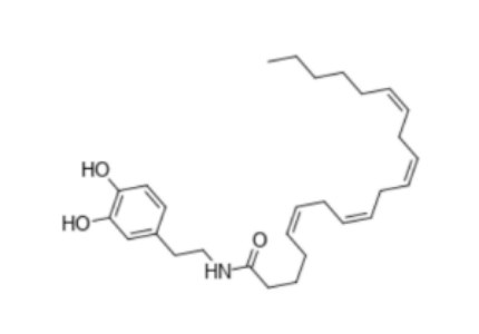 N-Arachidonoyldopamine