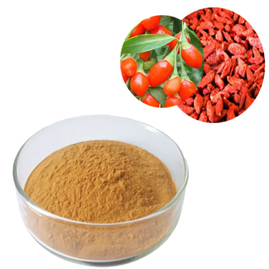 枸杞提取物 ，西枸杞，枸杞多糖