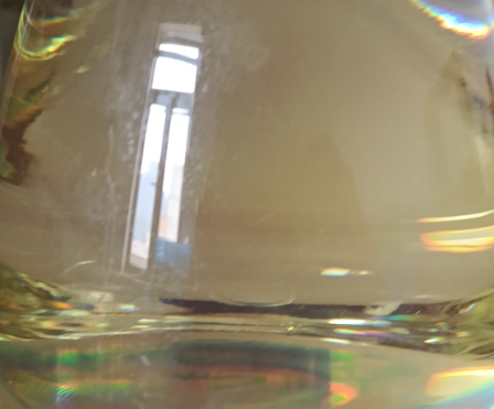 邻苯基苯氧乙基丙烯酸酯