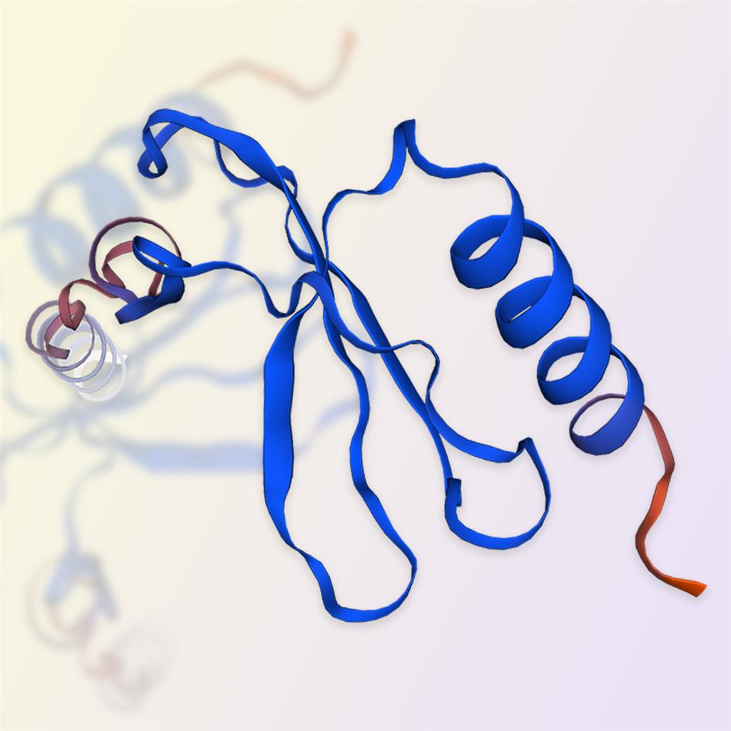 CCL2/MCP-1蛋白-ACROBiosystems百普赛斯
