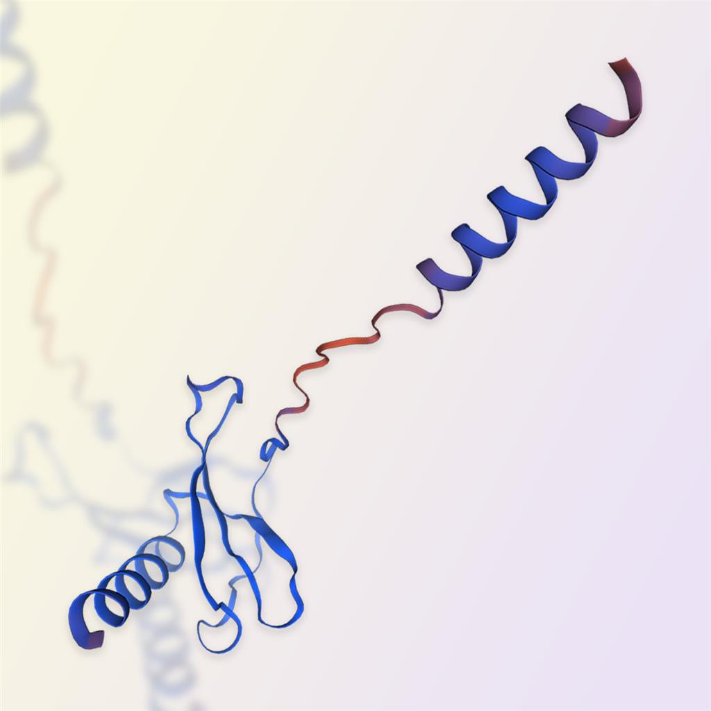 CCL20蛋白-ACROBiosystems百普赛斯