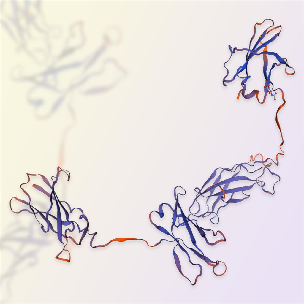 CD131蛋白-ACROBiosystems百普赛斯
