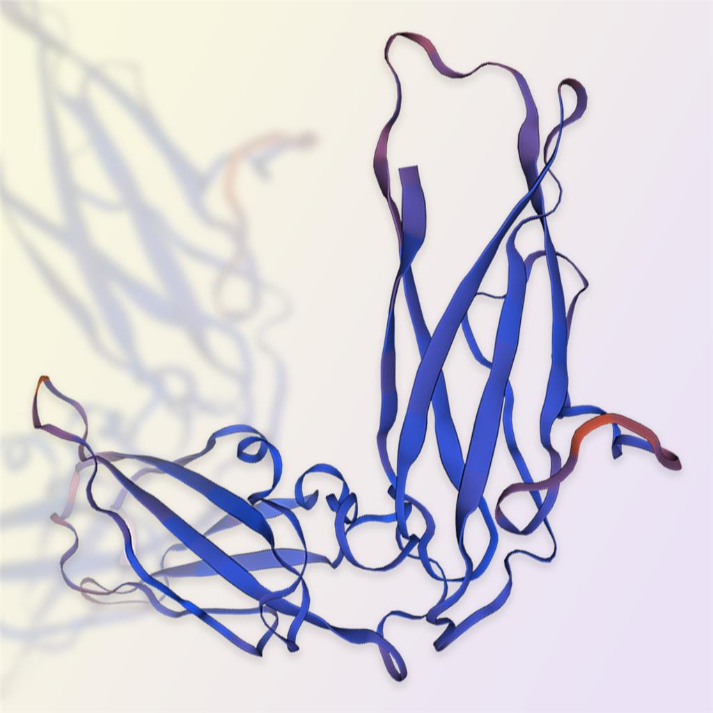 EBI3/IL27B蛋白-ACROBiosystems百普赛斯