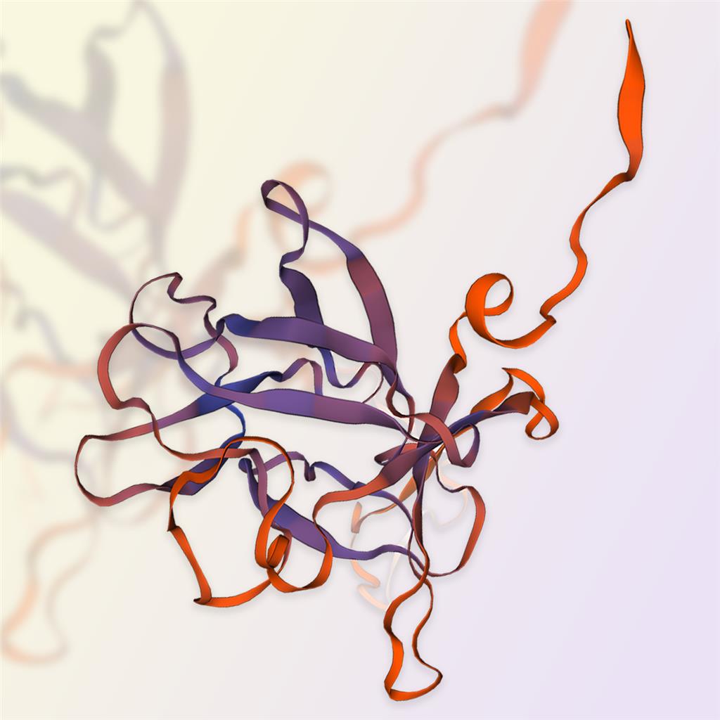 FGF21重组蛋白-ACROBiosystems百普赛斯