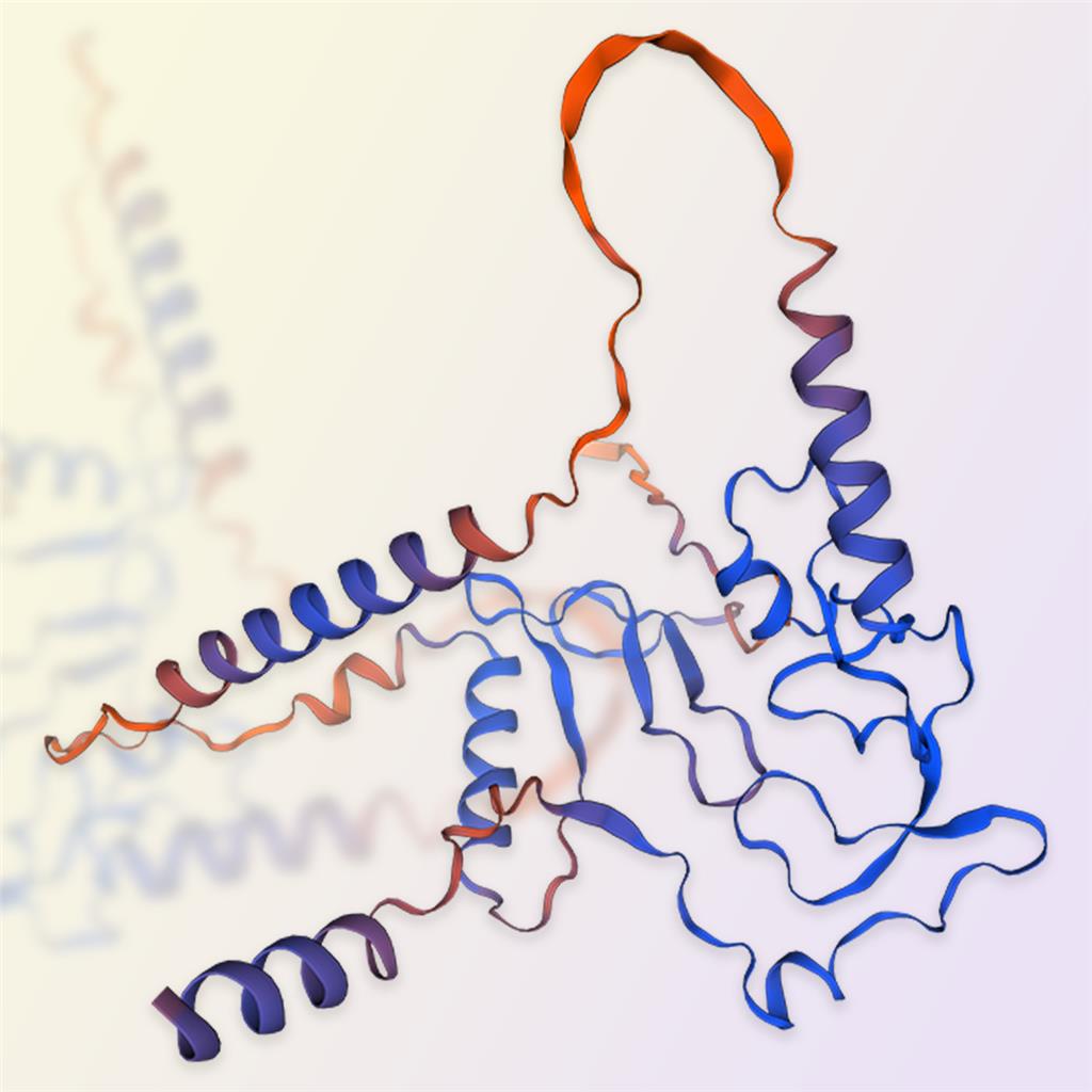IGFBP5蛋白-ACROBiosystems百普赛斯