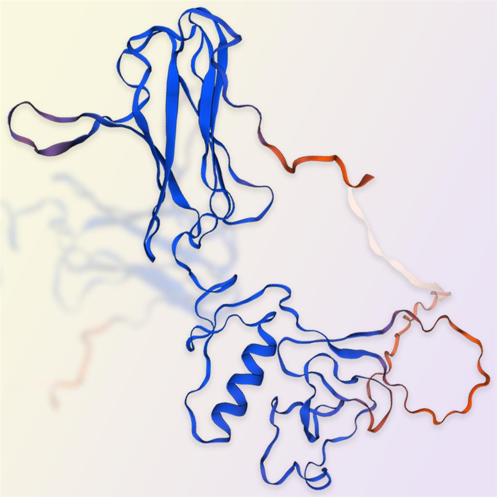IGFBP7重组蛋白-ACROBiosystems百普赛斯