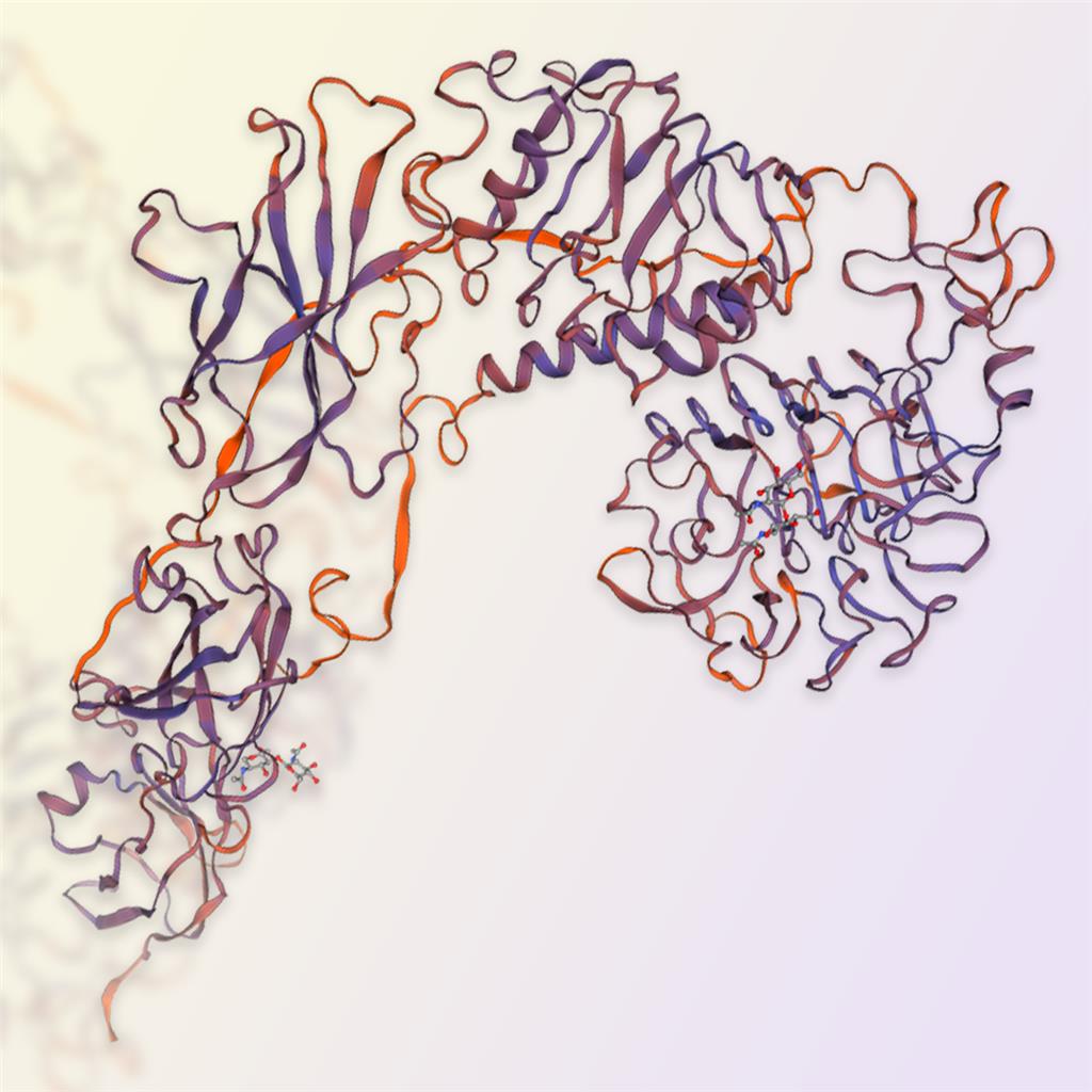 IGF1R/CD221蛋白，ACROBiosystems百普赛斯