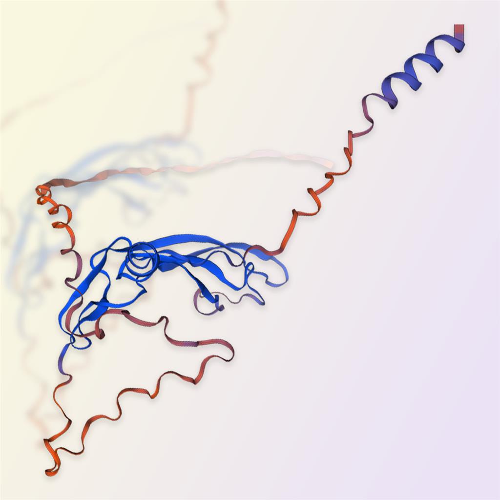 VEGF-B蛋白-ACROBiosystems百普赛斯