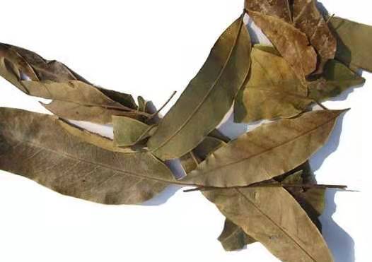 落新妇苷 - 纯天然黄杞叶提取