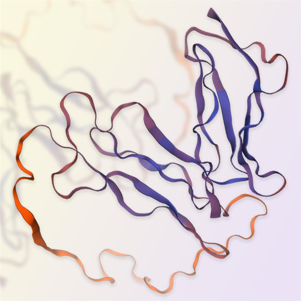 重组人IL2RA蛋白-ACROBiosystems百普赛斯