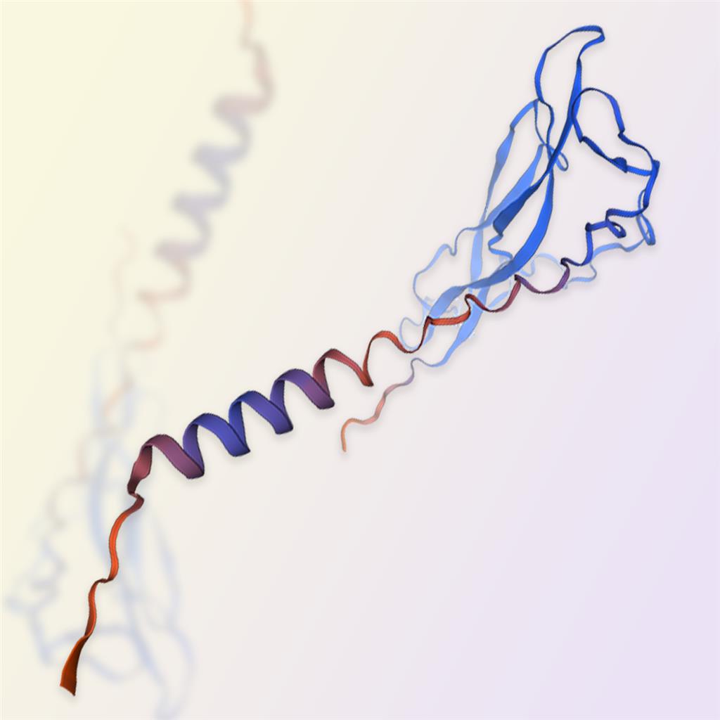 重组人IL-17F蛋白-ACROBiosystems百普赛斯