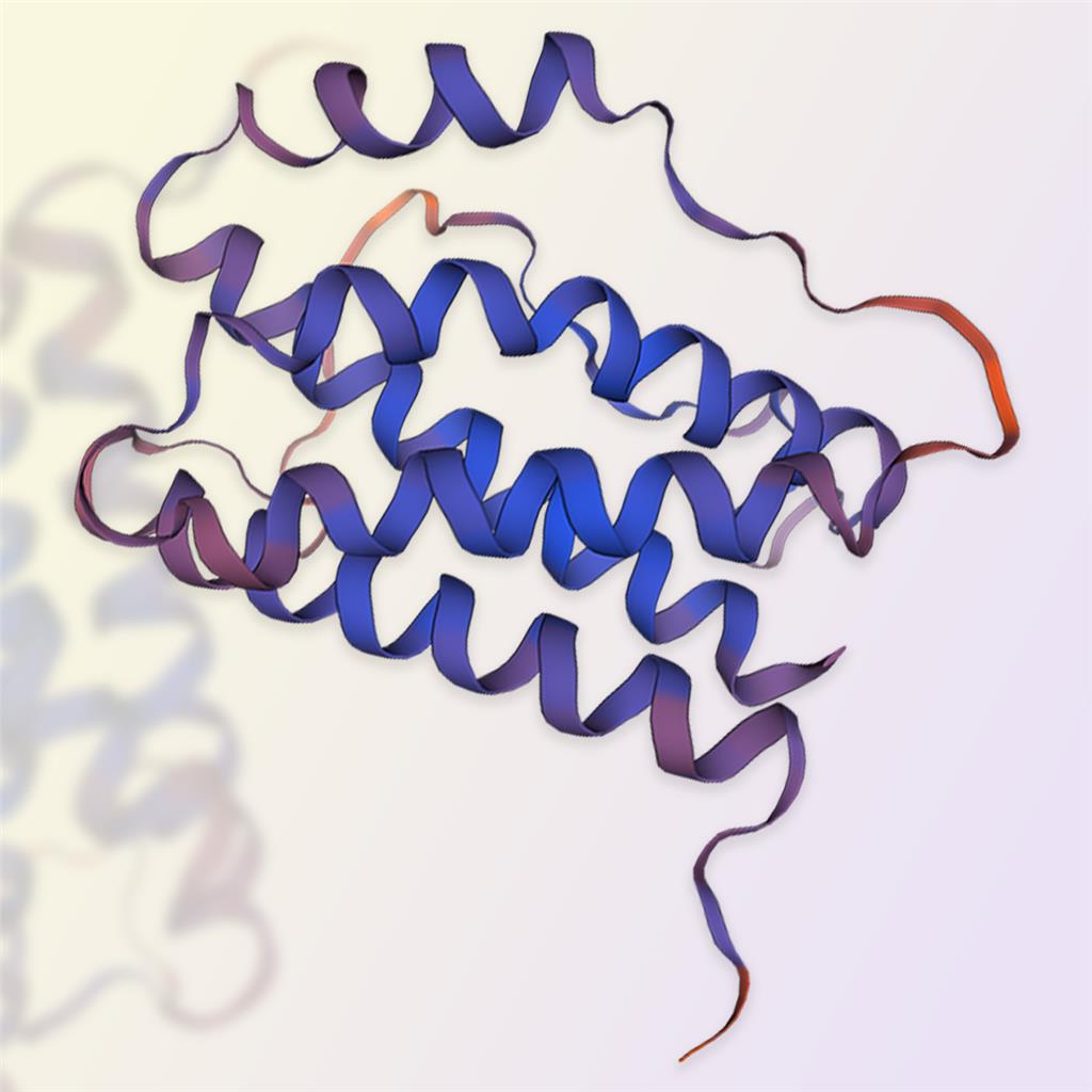 重组人IL-6蛋白-ACROBiosystems百普赛斯