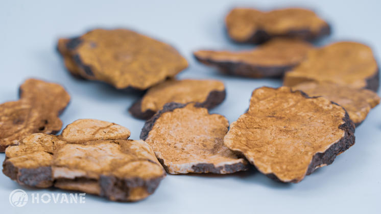 何首乌提取物 - 纯天然药材提取