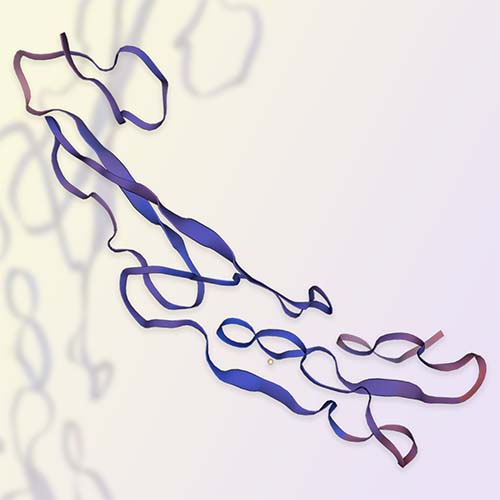 CD27重组蛋白，ACROBiosystems百普赛斯