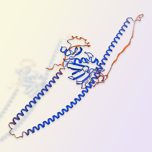 ANGPTL3重组蛋白，ACROBiosystems百普赛斯