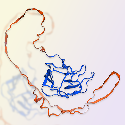 Galectin-3重组蛋白，ACROBiosystems百普赛斯
