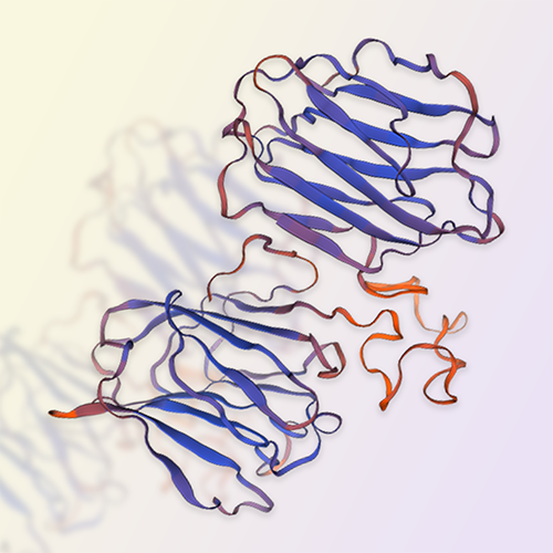 Galectin-4重组蛋白-ACROBiosystems百普赛斯
