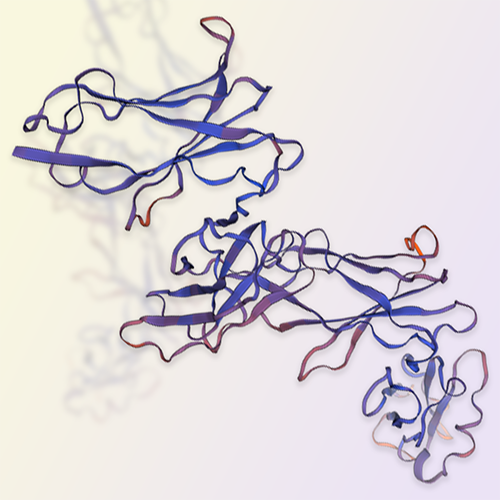 LILRA1蛋白-ACROBiosystems百普赛斯